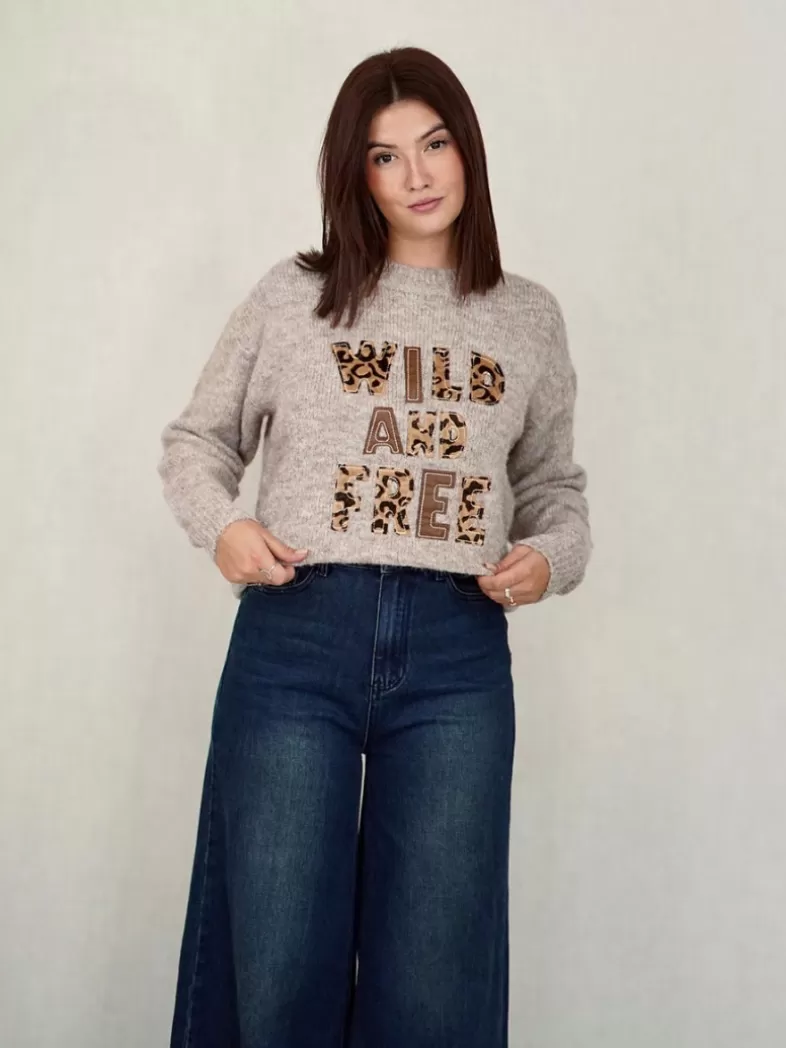 Mariquita Trasquilá Style De Rue | Pulls Et Sweat-shirts^PULL FREE ANIMAL Gris